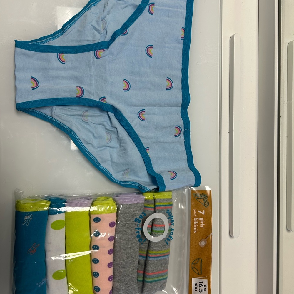 Blue and Green Bikini Cut Undergarment